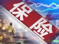 又见“保险投资保险”！险资持续增配权益资产