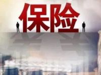 华安资产总裁周嘉伟：以保险资管之力，做科技创新的“耐心资本”